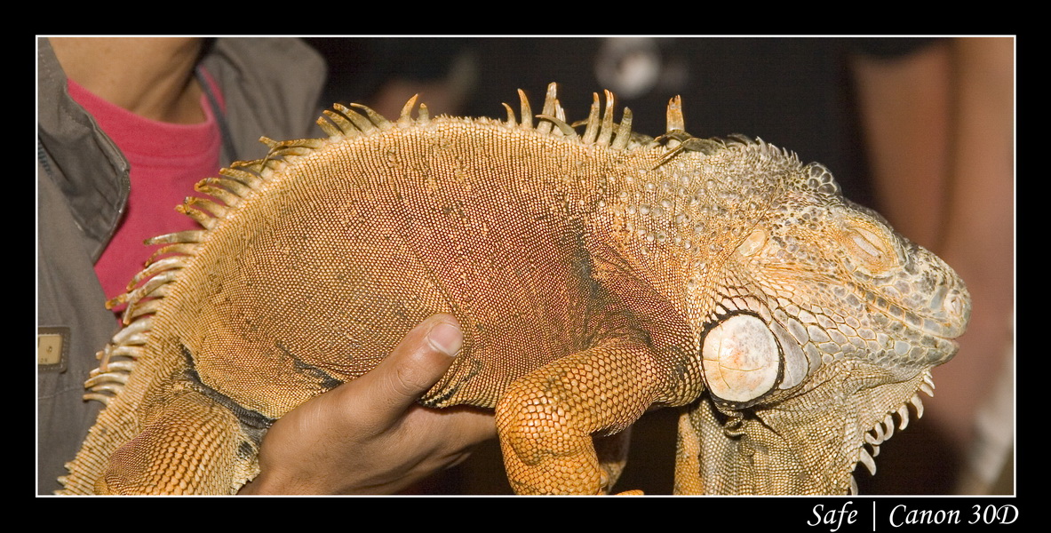 2008 - 07 - Phuket - 019